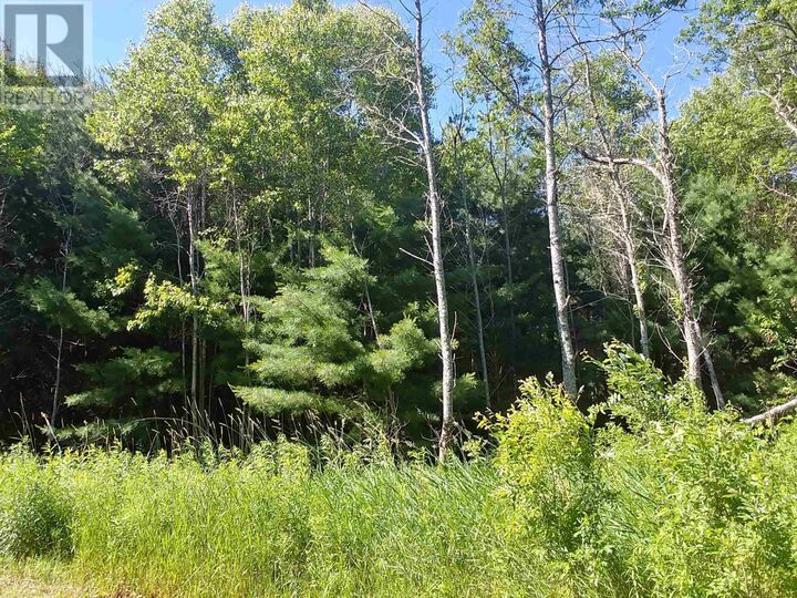 Property Photo: Lot 12 Birch Lane PE C0A 1L0