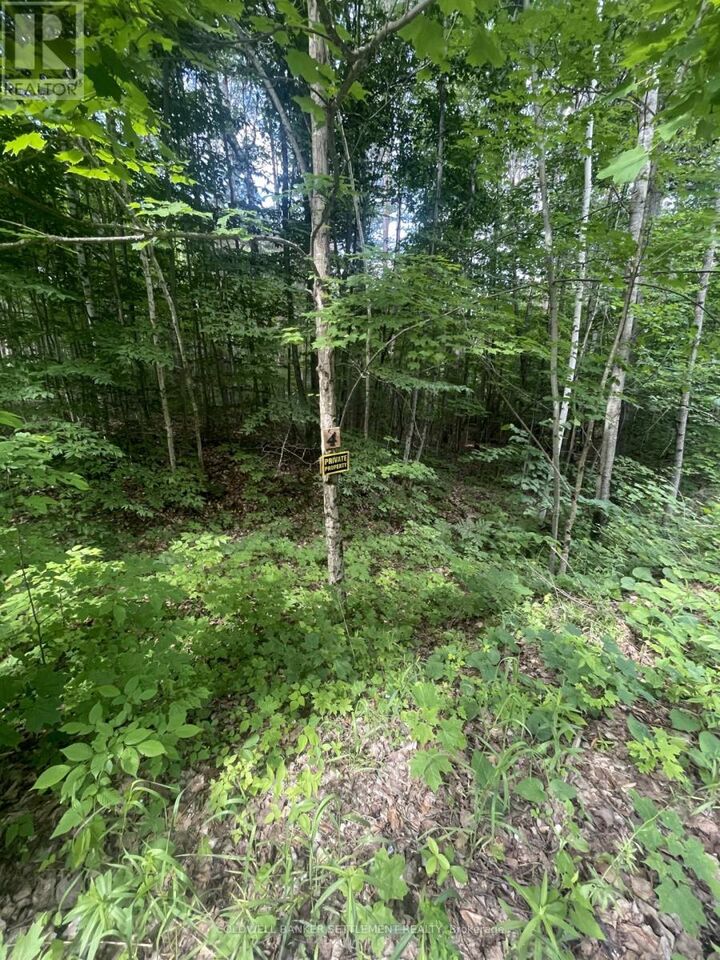 Property Photo:  0 Pond Road  ON K0H 2B0 