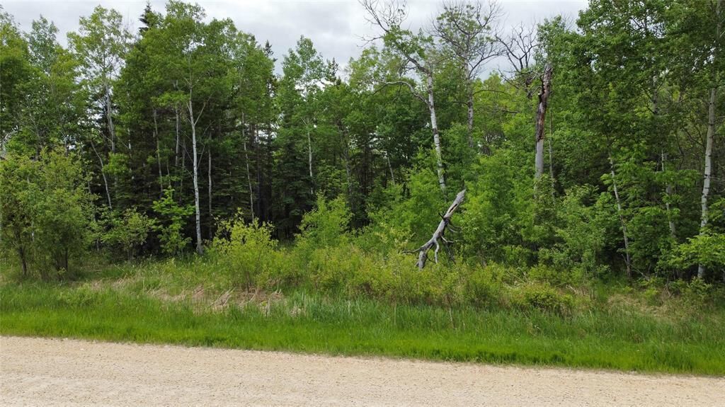 Property Photo:  42 Twin Pine Road  MB R0C 1B0 