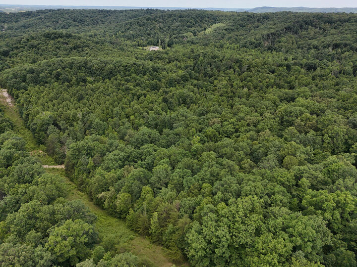 Property Photo: Tbd Farmhouse Trail 91 Acres Land KY 40351