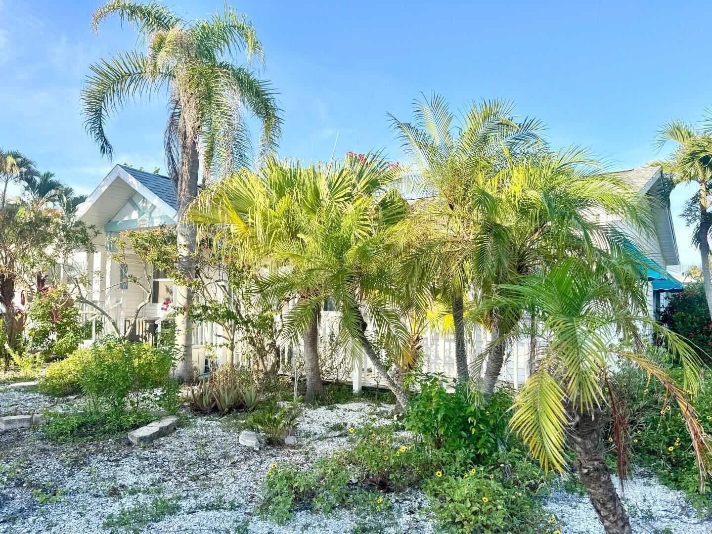 Property Photo:  202 12th Avenue  FL 33785 