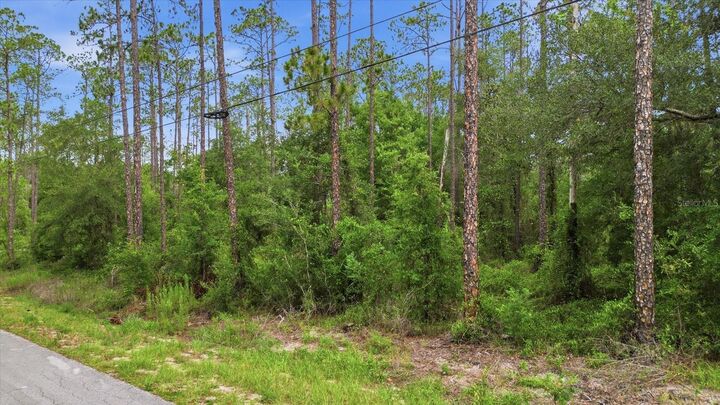 Property Photo:  0000 SW Nautilus Boulevard  FL 34431 