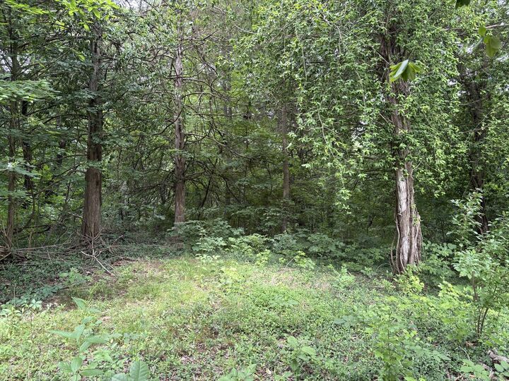 Property Photo: 3258 Grassy Road IL 62902