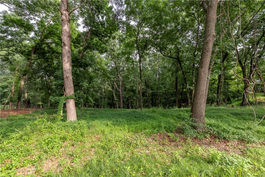 Property Photo: Lot 111 E Woodside Lane AR 72756
