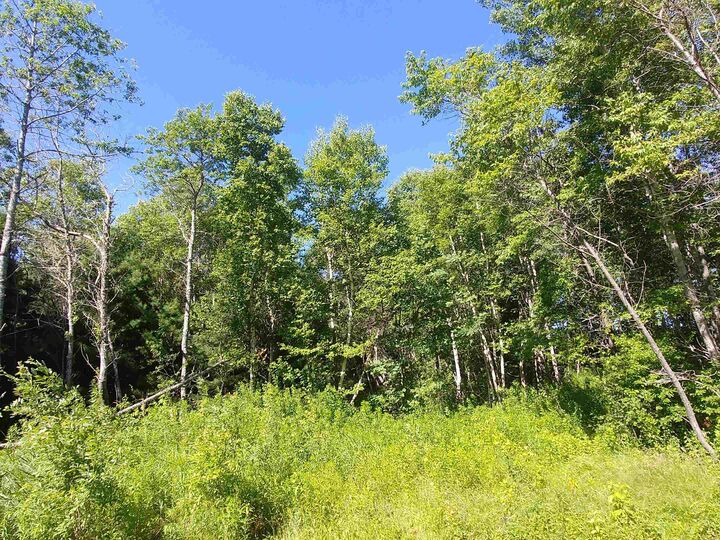 Property Photo:  Lot 12 Birch Lane  PE C0A 1L0 