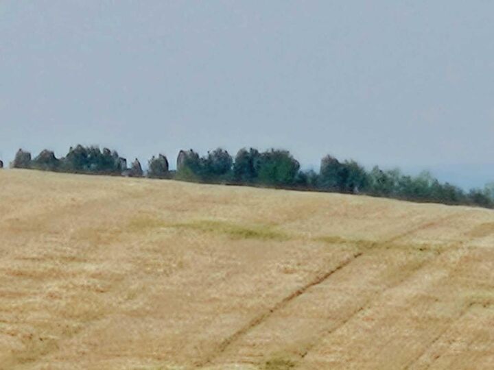 Property Photo: Symons Valley AB T4B 3L5