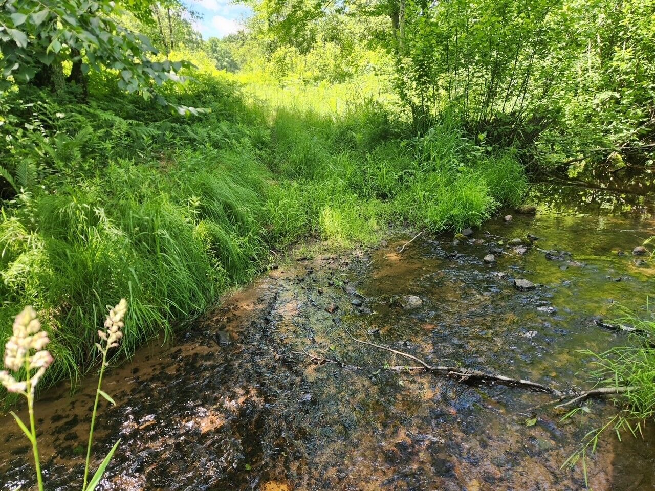 Property Photo:  12629 W Fairman Lane  WI 54548 