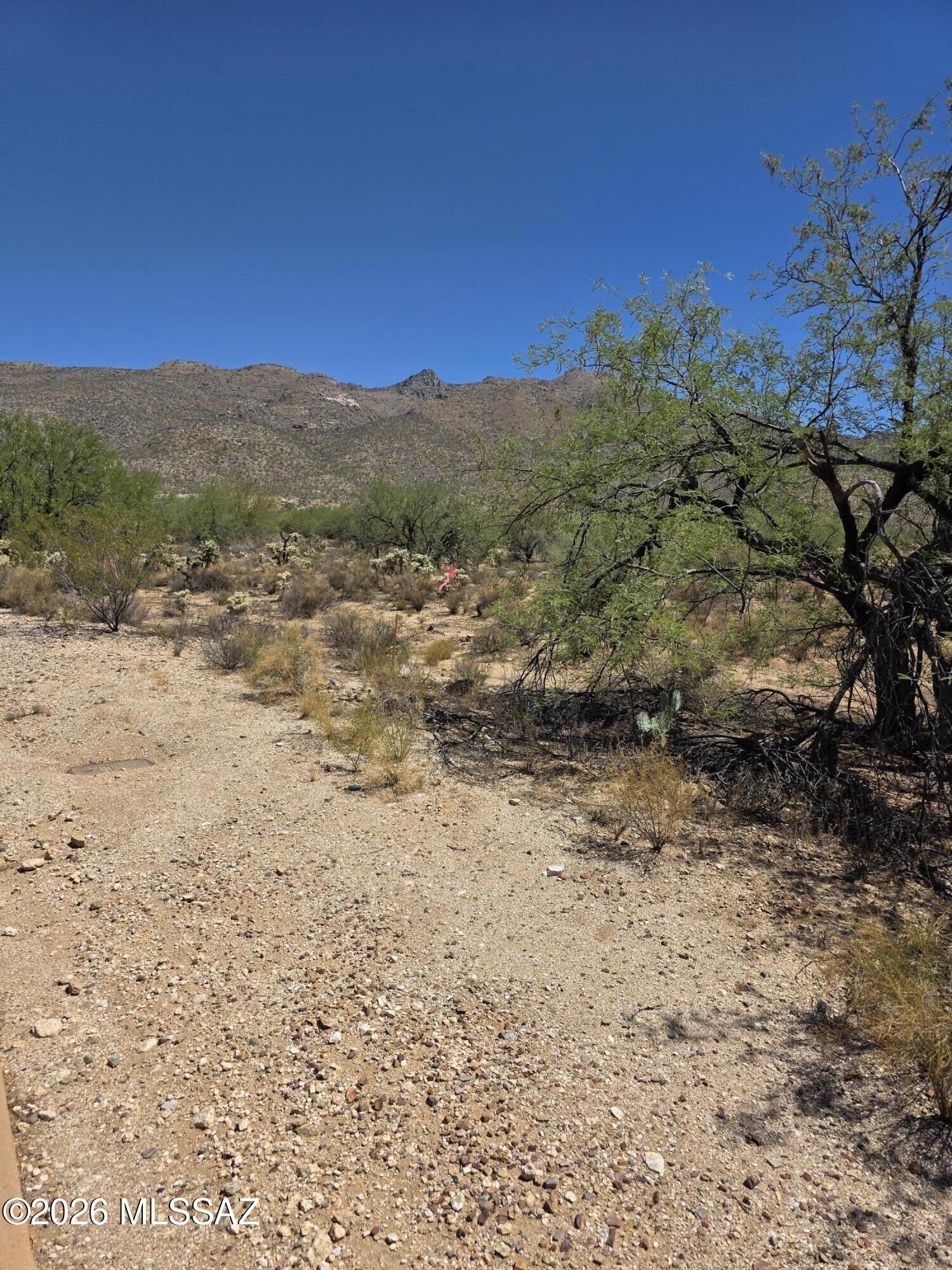 Property Photo:  10841 E Adobe Creek Place Lot 41  AZ 85749 