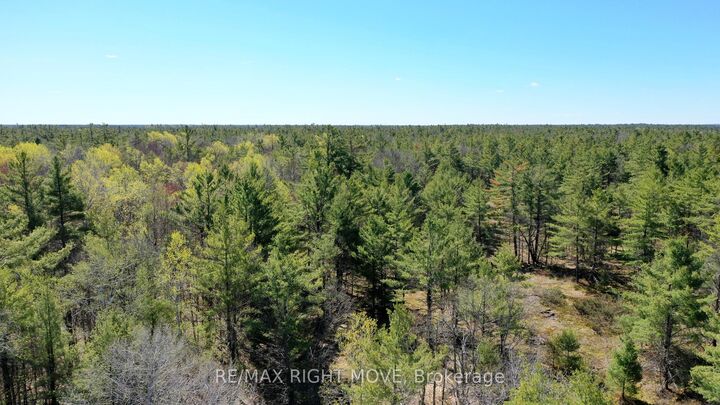 2503 Southwood Road — photo 1