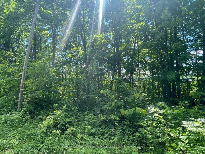 Property Photo: 0 Balsam Lake Drive ON K0M 2B0