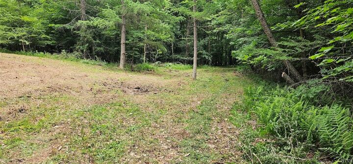 Property Photo:  Cr-16  NY 14812 