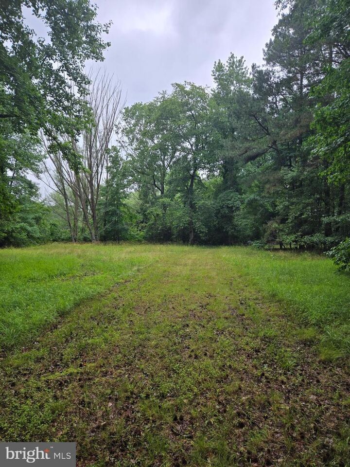 Property Photo:  Cooper Road  MD 21822 
