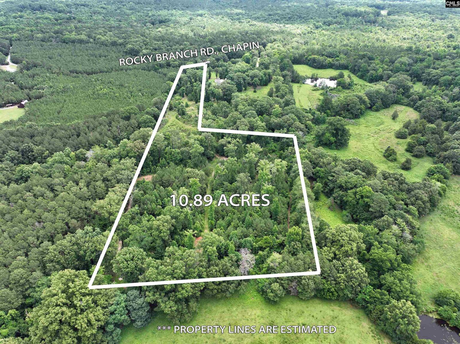 Property Photo: 0 Rocky Branch SC 29036