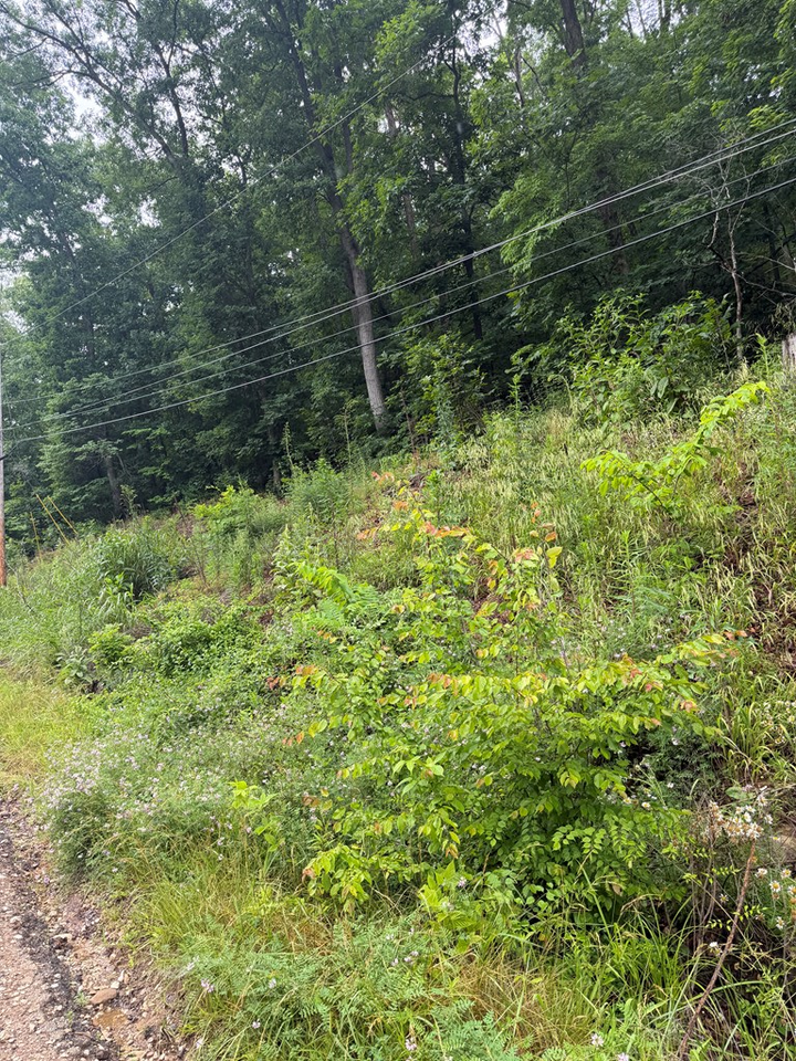 Property Photo:  00000 Bob O Link Trail  KY 41129 