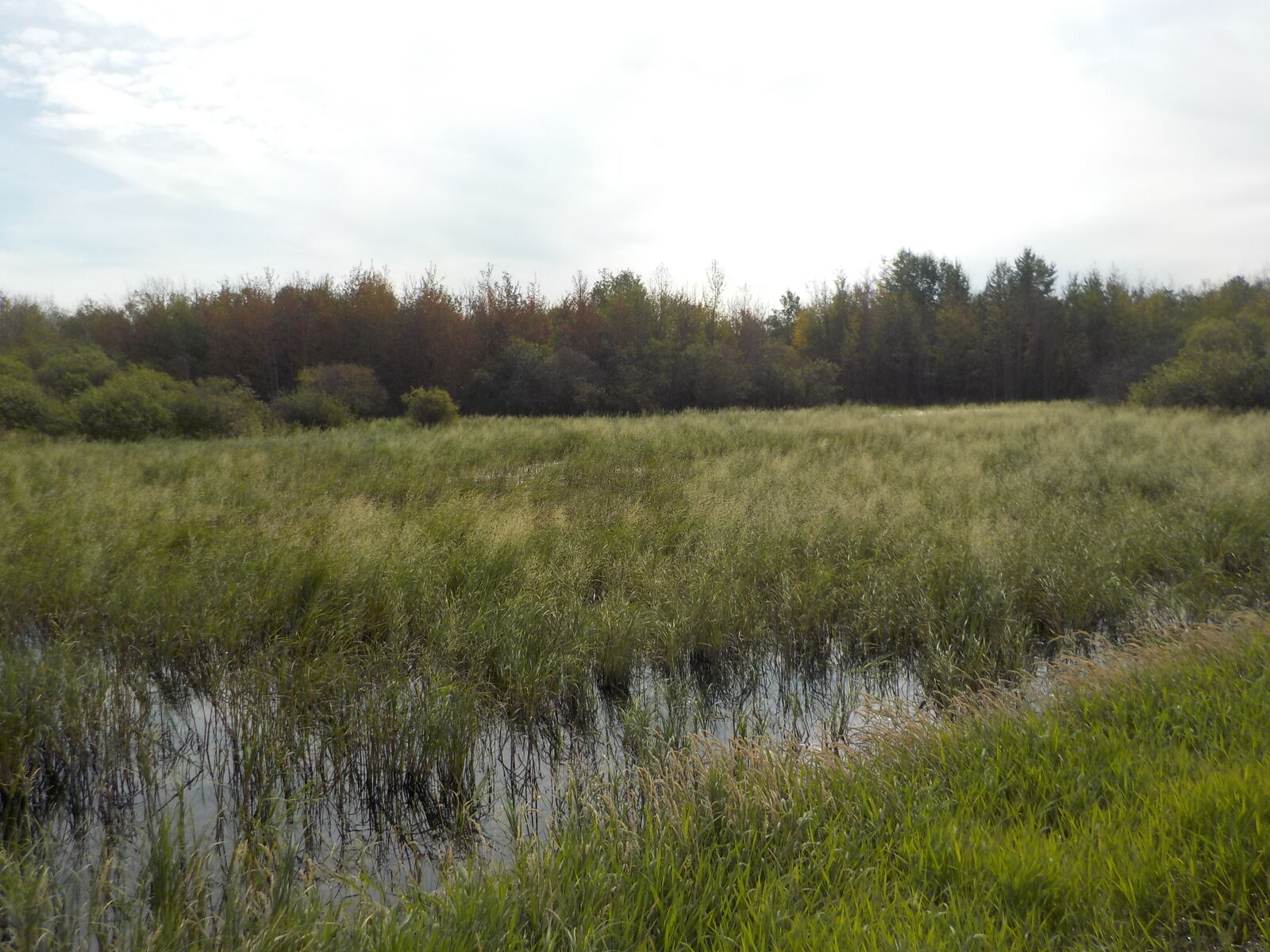 Property Photo:  44 Street  AB T0A 2W0 