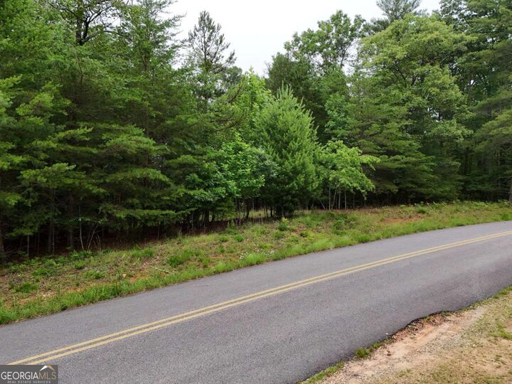 Property Photo:  Lot 3 Cook Henry Road  GA 30512 