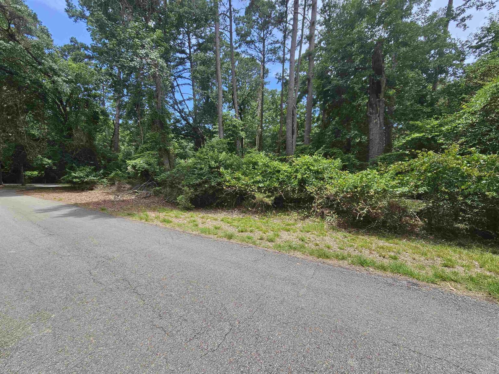 Property Photo:  Tbd Lot 36 Robin Cove  TX 75765 