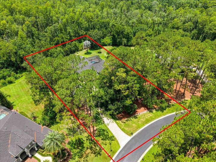 Property Photo:  418 Pine Bluff Drive  FL 33549 