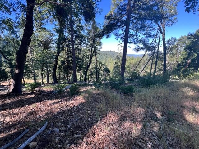 Property Photo: 0 Spirit Lane CA 95726