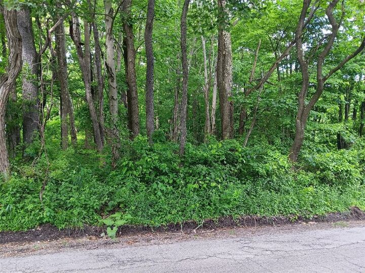 Property Photo:  0 Pletcher Rd  PA 15490 