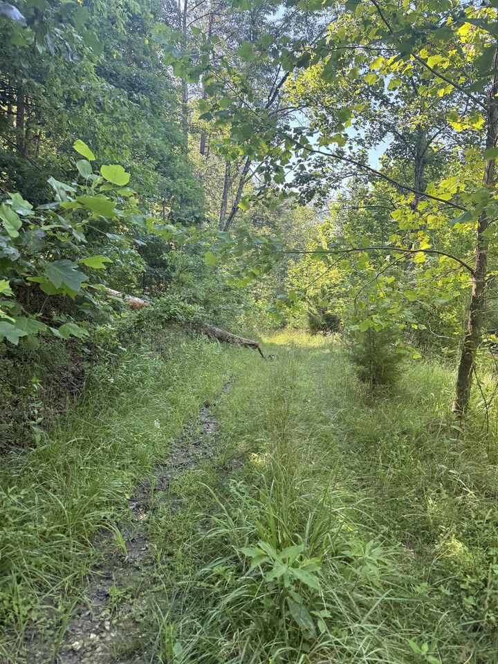 Property Photo:  0 Kentucky 486  KY 41171 
