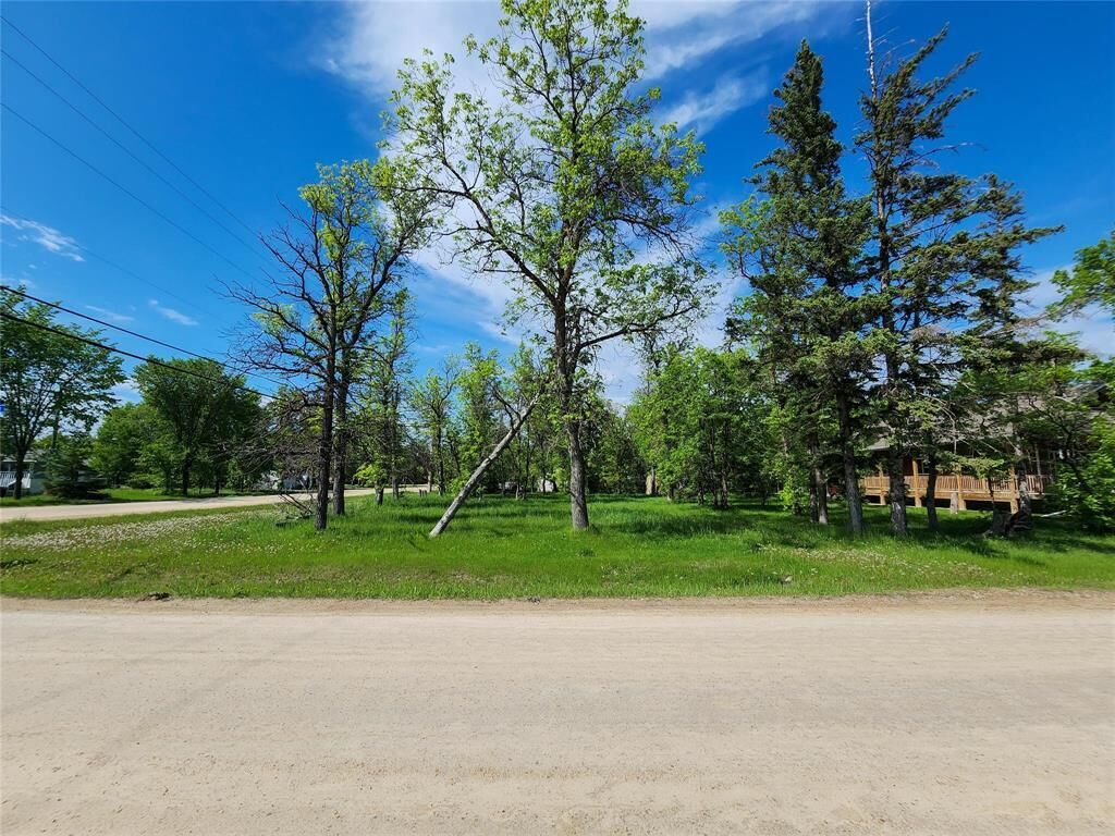 Property Photo:  355 Temple Avenue  MB R0C 3G0 
