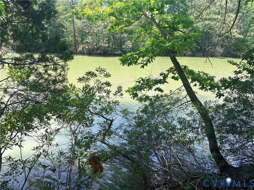 Property Photo: 0 Millenbeck Prong Road VA 22503