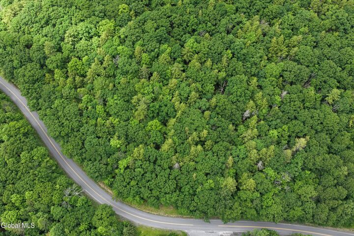 Property Photo:  L1.00 Cotton Hill Road  NY 12023 