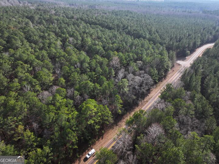 Property Photo: Lot 3 Salem Road GA 31822