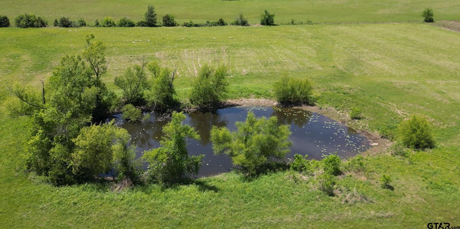 Property Photo:  Tbd Hwy 24  TX 75460 