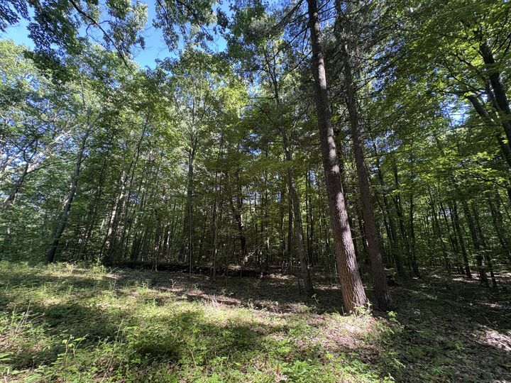 Property Photo:  104th Avenue  MI 49010 