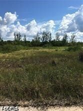 Property Photo:  5390 Game Bird Lane  FL 33922 