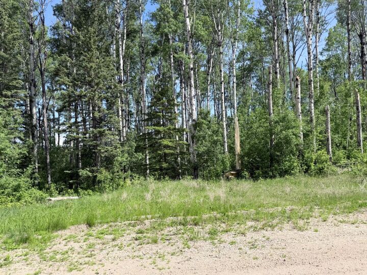 Property Photo: Block 2 Lot 6 Elk Ridge Estates AB T7S 1N9