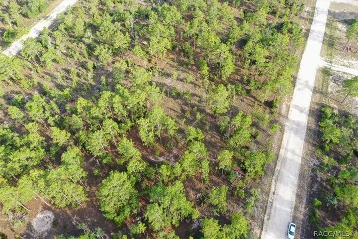 Property Photo:  0000 NE 131st Lot 8 Terrace  FL 32696 