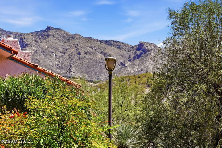 Property Photo:  6490 N Tierra De Las Catalinas 91  AZ 85718 