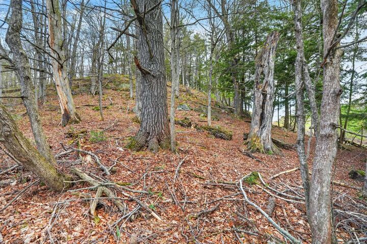 Photo de la propriété:  32 Gainsborough Road  ON P1L 1W8 