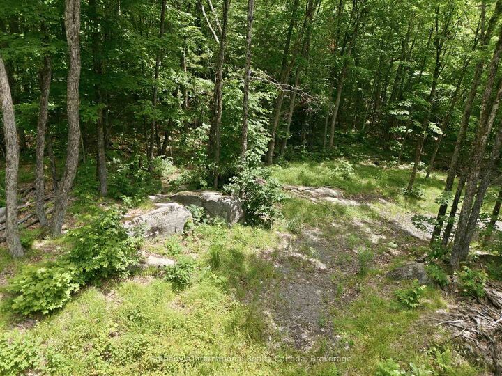 Property Photo: 1731 Fraserburg Road ON P1L 1X3