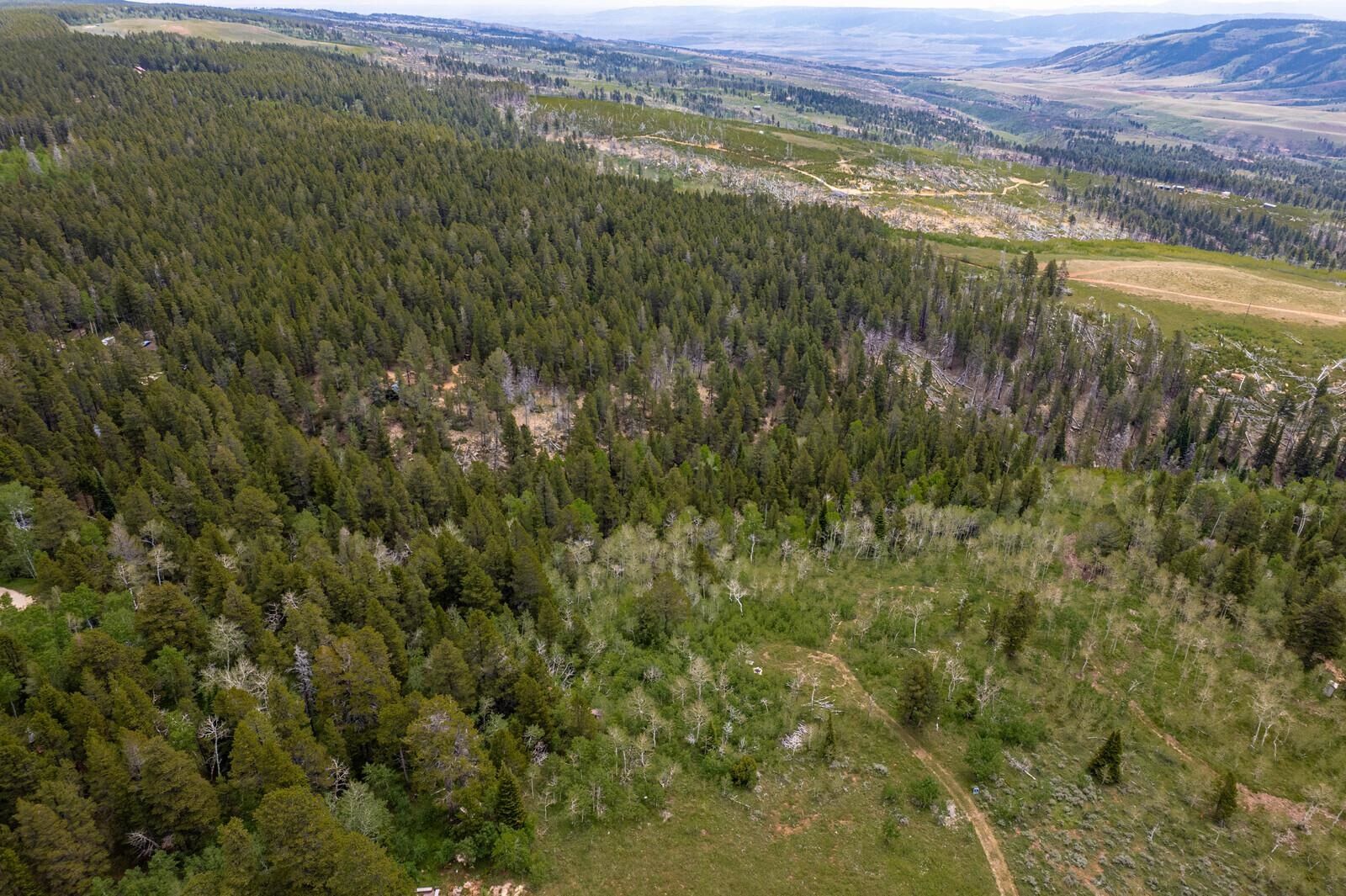 Property Photo:  Casper Mountain Road  WY 82601 