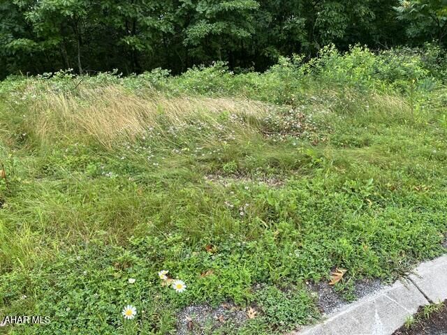 Property Photo: Lot 71 Queens Way PA 16601