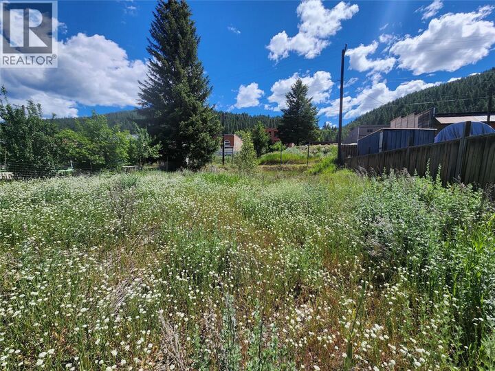 Property Photo:  S Silver Avenue  BC V0H 1J0 