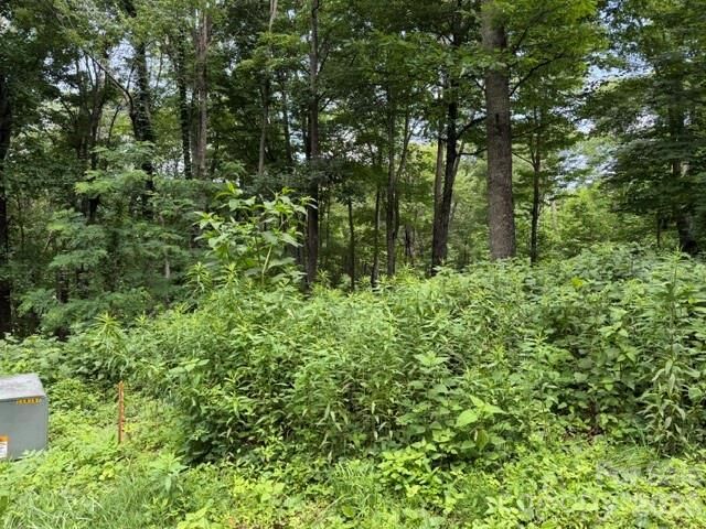 Property Photo: Lot 28 Toi Trail 28 NC 28751