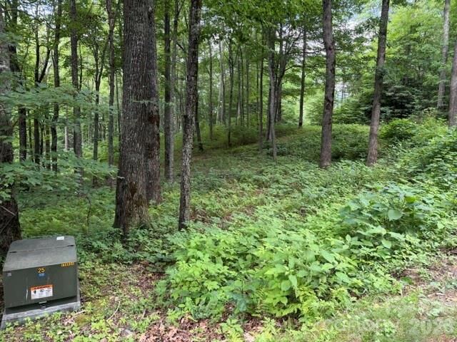 Property Photo:  Lot 59 Odalu Trail 59  NC 28751 