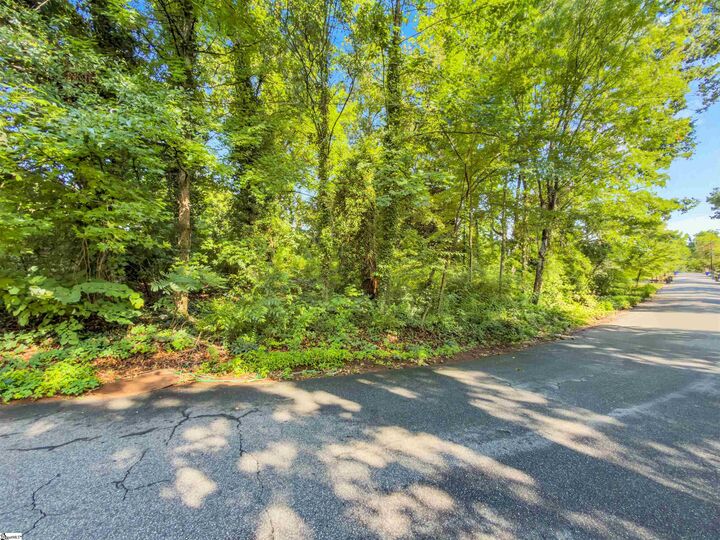 Property Photo:  N Avondale Drive  SC 29609 
