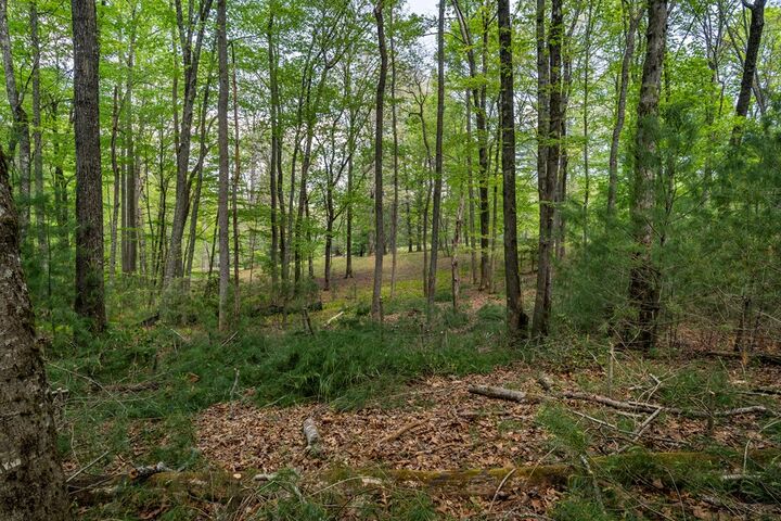 Property Photo:  Lot 3-4 Scouts Overlook Lane  GA 30560 