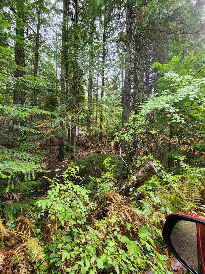 Property Photo:  234xx N Mt Spokane Park Dr  WA 99021 