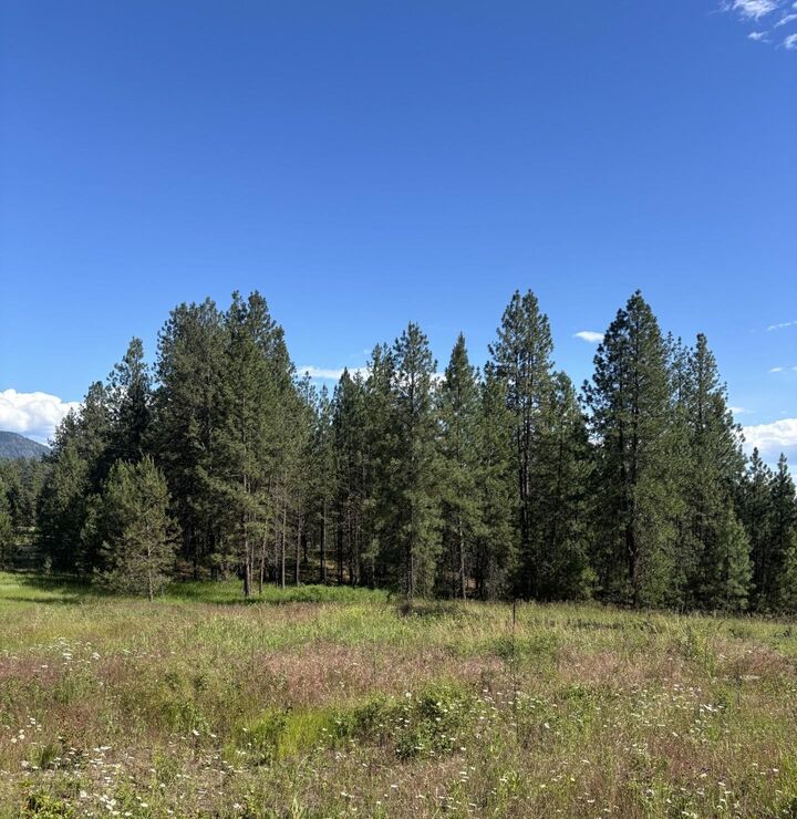 Property Photo:  2392 Cozy Nook Rd  WA 99109 