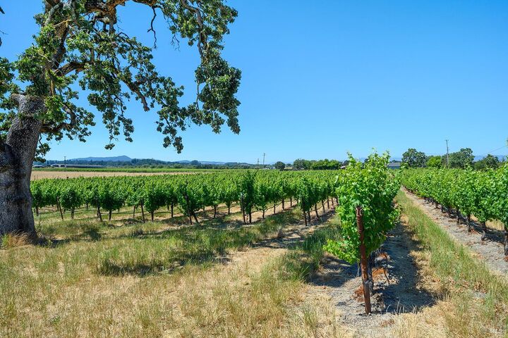 Property Photo:  5726 Hall Road  CA 95401 