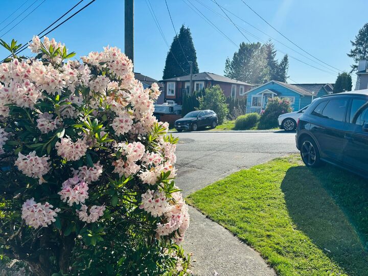 Property Photo:  217 Lebleu Street Front  BC V3K 4L7 