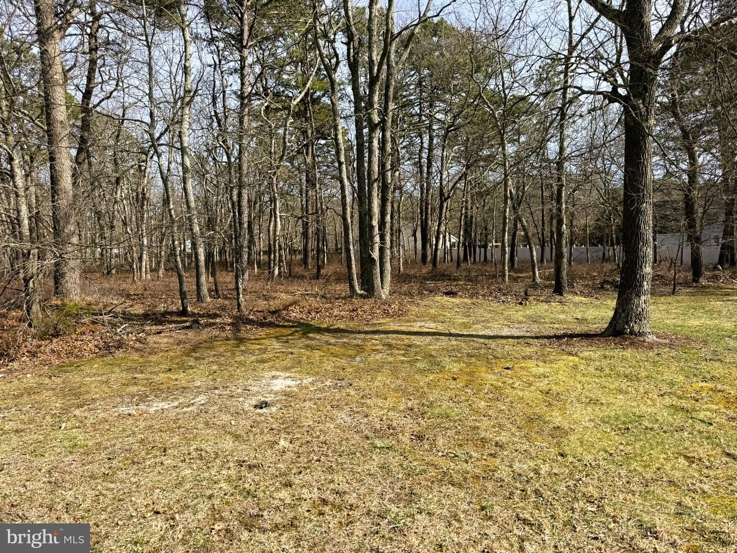 Property Photo:  20 Pinewood Drive  NJ 08087 