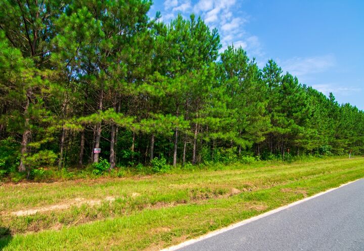 Property Photo:  0 County Road 0071  GA 31831 
